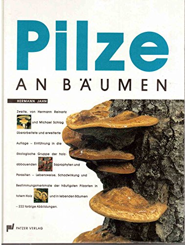 Beispielbild fr Pilze an Bumen zum Verkauf von Antiquariaat Looijestijn