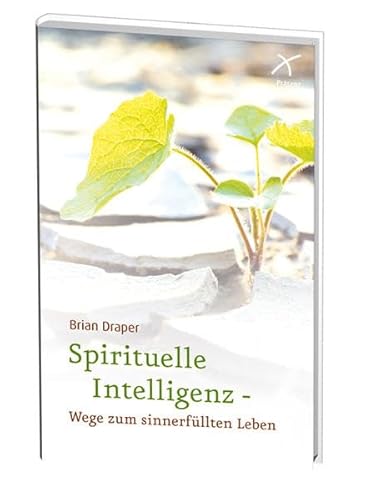 9783876300986: Spirituelle Intelligenz - Wege zum sinnerfllten Leben