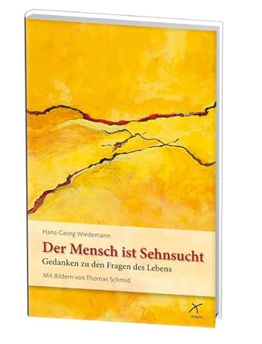 Imagen de archivo de Der Mensch ist Sehnsucht: Gedanken zu den Fragen des Lebens a la venta por medimops