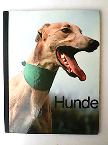 Beispielbild für Hunde zum Verkauf von Martin Preuß / Akademische Buchhandlung Woetzel
