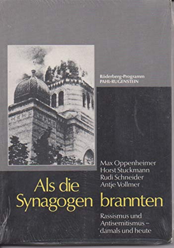 9783876825953: Als die Synagogen brannten: Zur Funktion d. Antisemitismus gestern u. heute (German Edition)