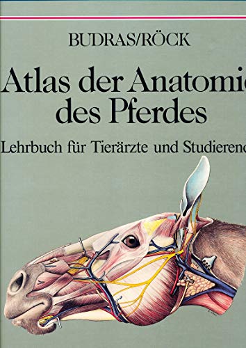 Atlas der Anatomie des Pferdes. Lehrbuch für Tierärzte und Studierende - o. A.