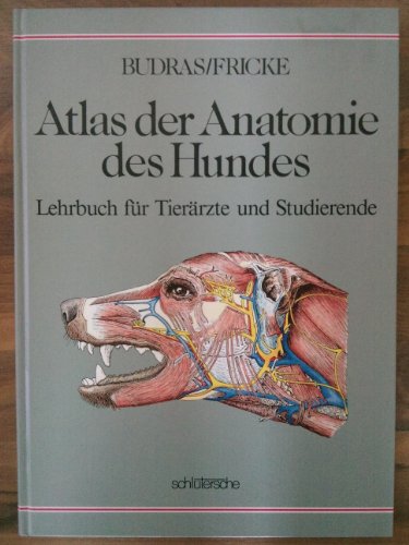 Stock image for Atlas der Anatomie des Hundes. Lehrbuch fr Tierrzte und Studierende for sale by medimops