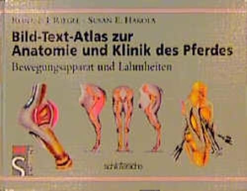 9783877065532: Bild-Text-Atlas zur Anatomie und Klinik des Pferdes.