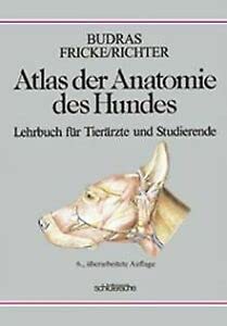 Stock image for Atlas der Anatomie des Hundes: Lehrbuch fr Tierrzte und Studierende Budras, Klaus D; Fricke, Wolfgang; Richter, Renate; Henschel, Ekkehard; Reese, Sven; Gerlach, Klaus and Poulsen Nautrup, Cordula for sale by online-buch-de