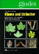 Beispielbild fr Bume und Strucher. Einheimische und eingefhrte Baum- und Straucharten zum Verkauf von medimops