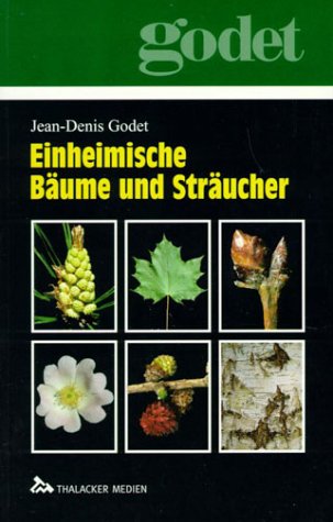 Imagen de archivo de Einheimische Bume und Strucher a la venta por medimops