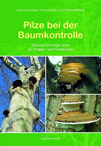 Stock image for Pilze bei der Baumkontrolle -Language: german for sale by GreatBookPrices