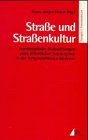 Strasse und Strassenkultur. Interdisziplinäre Beobachtungen eines öffentlichen Sozialraumes in de...
