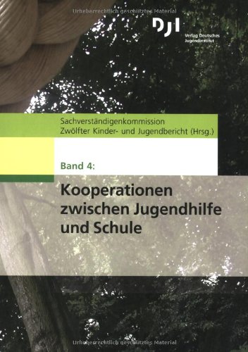 Stock image for Materialien zum 12. Kinder- und Jugendbericht: Kooperationen zwischen Jugendhilfe und Schule: BD 4 for sale by medimops