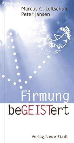 9783879969968: Firmung beGEISTert