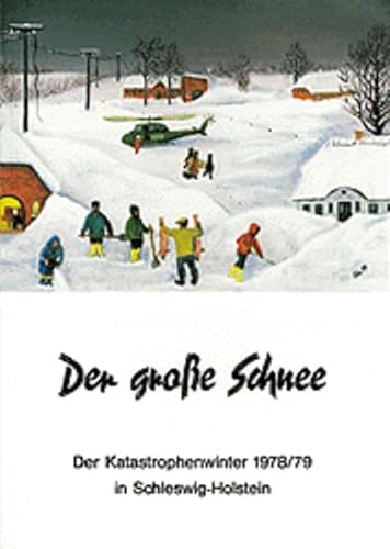 Beispielbild fr Der groe Schnee: Der Katastrophenwinter 1978/79 in Schleswig-Holstein zum Verkauf von medimops