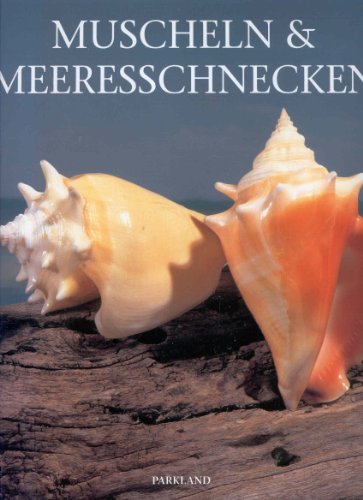 Beispielbild fr Muscheln und Meeresschnecken zum Verkauf von medimops