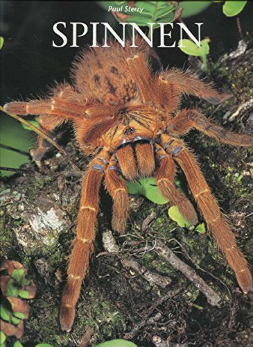 Beispielbild fr Spinnen zum Verkauf von medimops