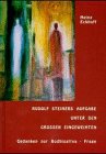 9783880693531: Rudolf Steiners Aufgabe unter den grossen Eingeweihten: Gedanken zur Bodhisattva-Frage