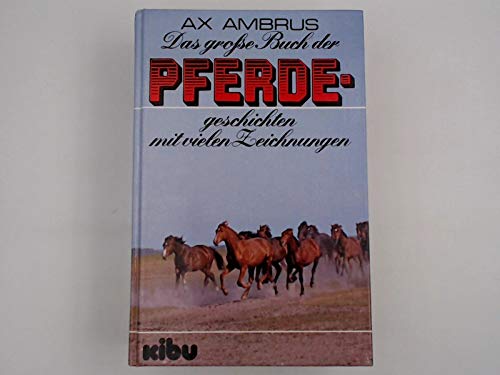 Beispielbild fr Das groe Buch der Pferdegeschichten zum Verkauf von medimops