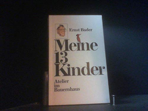 9783881320627: Meine 13 Kinder (German Edition)