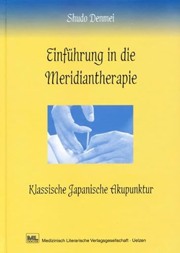 Beispielbild fr Einfhrung in die Meridiantherapie zum Verkauf von medimops