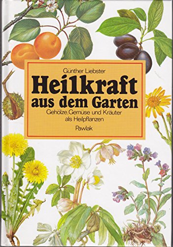 Beispielbild fr Heilkraft aus dem Garten : Gehlze, Gemse und Kruter als Heilpflanzen. [Grafiken: Hellmut Hoffmann] zum Verkauf von Wanda Schwrer