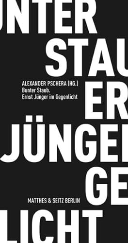 Bunter Staub. Ernst Jünger im Gegenlicht - Alexander Pschera