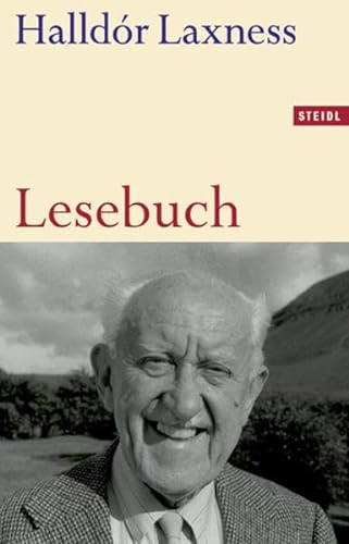 Stock image for Steidl Taschenbcher, Nr.13, Lesebuch for sale by medimops