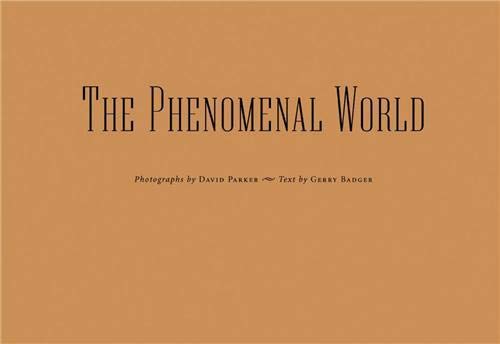 Beispielbild fr The Phenomenal World zum Verkauf von AFTER WORDS OF ANN ARBOR