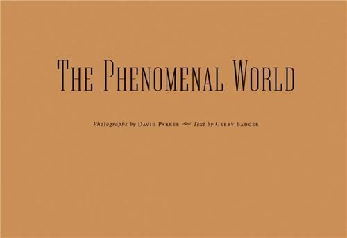 Stock image for The Phenomenal World. for sale by Antiquariat Hans Hammerstein OHG