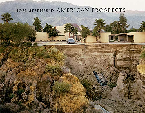 American Prospects (9783882439151) by Sternfeld, Joel; Brougher, Kerry; Grundberg, Andy