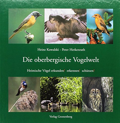 Imagen de archivo de Die oberbergische Vogelwelt. Heimische Vgel erkunden ! erkennen ! schtzen ! a la venta por medimops