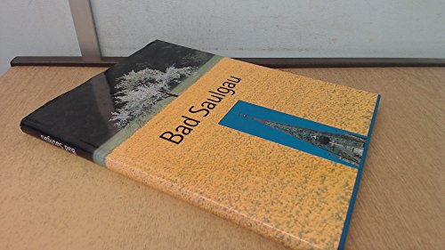 Imagen de archivo de Saulgau. Ansichten und Perspektiven einer oberschwbischen Bderstadt. a la venta por Mller & Grff e.K.
