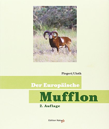 9783884124291: Der Europische Mufflon