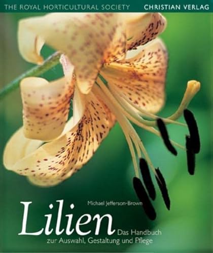 Stock image for Lilien: Das Handbuch zur Auswahl, Gestaltung und Pflege for sale by medimops