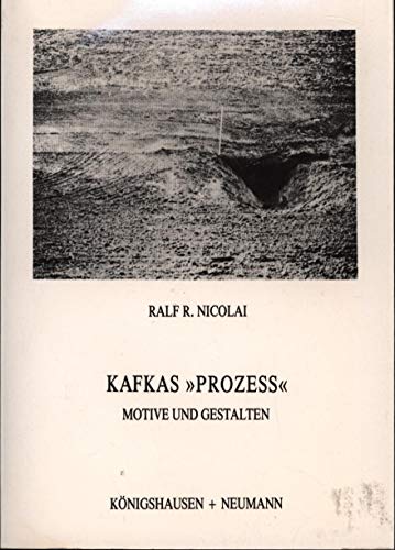 Beispielbild fr Kafkas Amerika - Roman 'Der Verschollene'. Motive und Gestalten zum Verkauf von medimops