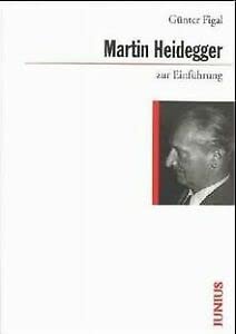 Martin Heidegger zur Einführung - Günter Figal