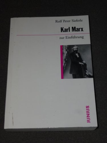 9783885066385: Karl Marx zur Einfhrung