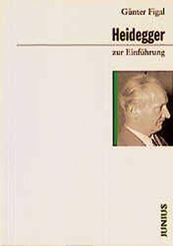 Beispielbild fr Heidegger zur Einfhrung zum Verkauf von medimops