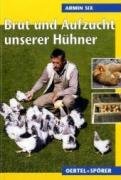 9783886275236: Brut und Aufzucht unserer Hhner