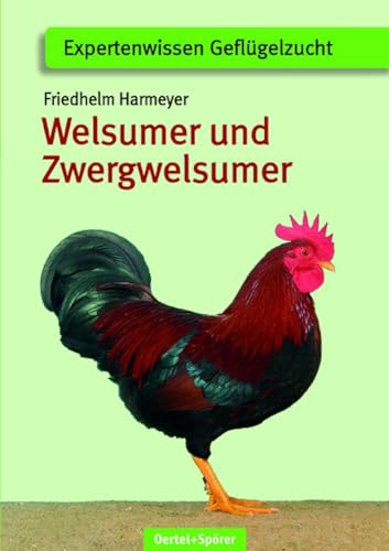 Stock image for Welsumer und Zwerg-Welsumer for sale by GreatBookPrices