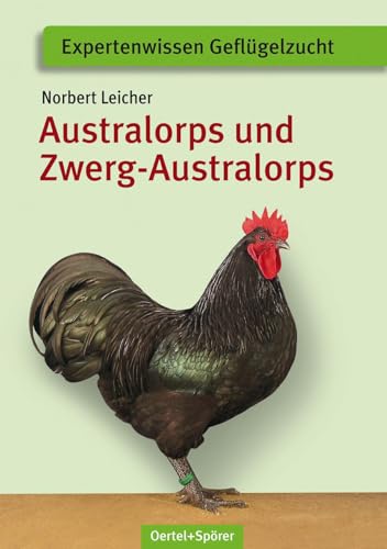 Imagen de archivo de Australorps und Zwerg-Australorps -Language: german a la venta por GreatBookPrices