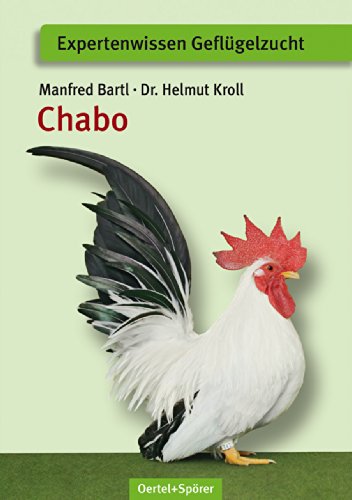 Beispielbild fr Chabo zum Verkauf von medimops