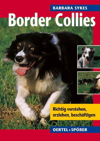 Stock image for Border Collies. Richtig verstehen, erziehen, beschftigen for sale by Martin Greif Buch und Schallplatte