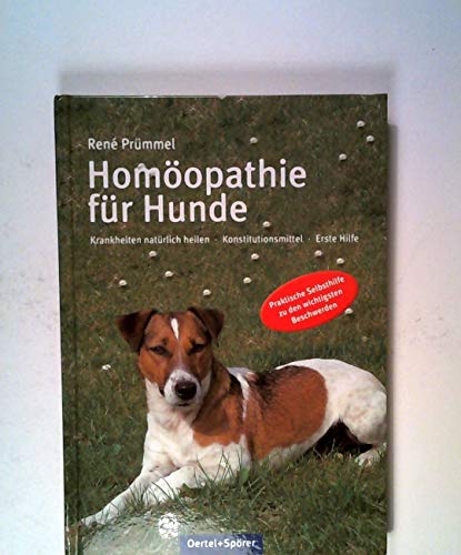 Beispielbild fr Homopathie fr Hunde: Krankheiten natrlich heilen - Konstitutionsmittel - Erste Hilfe zum Verkauf von medimops