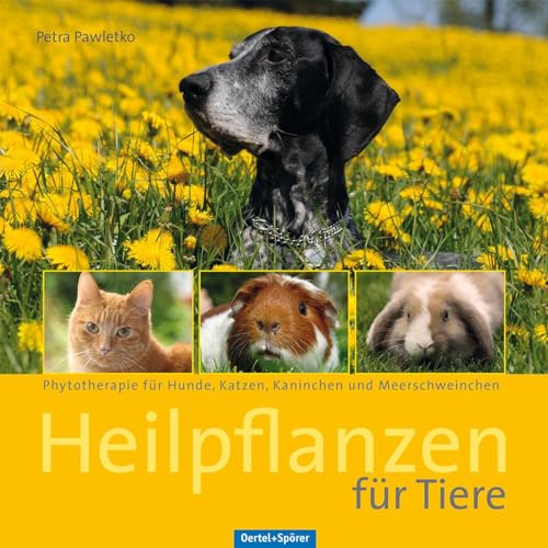 9783886279098: Heilpflanzen fr Tiere: Phytotherapie fr Hunde, Katzen, Kaninchen und Meerschweinchen