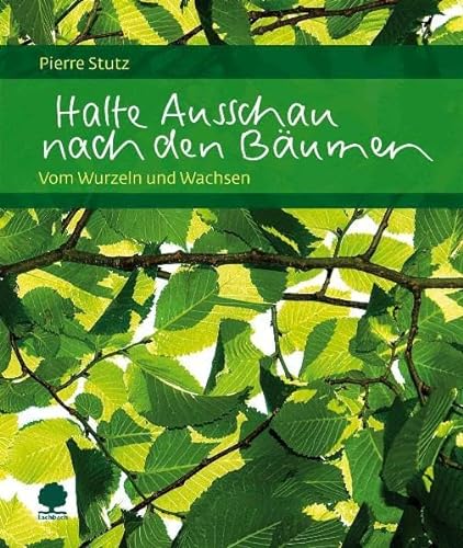 Stock image for Halte Ausschau nach den Bumen: Vom Wurzeln und Wachsen for sale by medimops