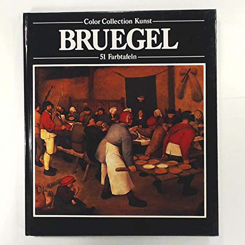 Beispielbild fr Pieter Bruegel zum Verkauf von Versandantiquariat Felix Mcke