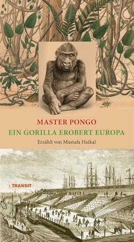 Beispielbild fr Master Pongo oder Ein Gorilla erobert Europa zum Verkauf von medimops