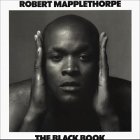 9783888142147: ROBERT MAPPLETHORPE THE BLACK BOOK (DAAB)
