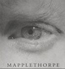 Stock image for MAPPLETHORPE. for sale by Burwood Books