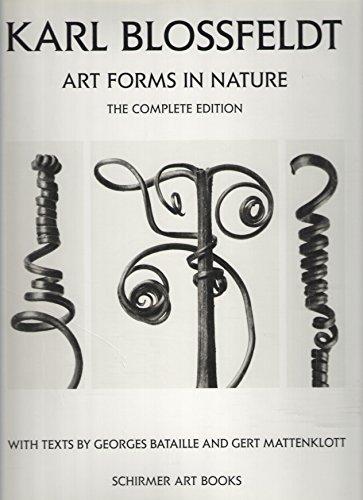 9783888146275: Karl Blossfeldt: Art Forms In Nature: The Complete Edition: Forms of Nature
