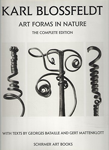 Karl Blossfeldt: Art Forms in Nature (9783888146275) by Bataille, Georges; Mattenklott, Gert